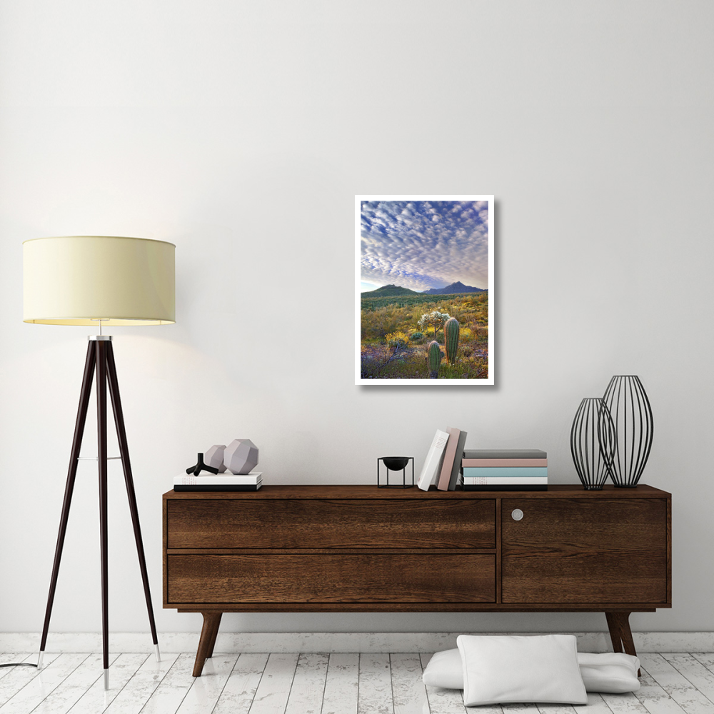 Saguaro and Teddybear Cholla amid flowering Lupine and California Brittlebush-Paper Art-23.3&quotx32"