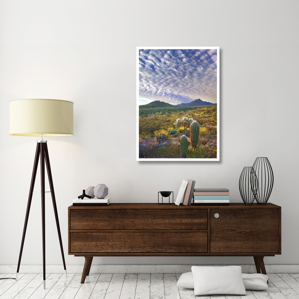 Saguaro and Teddybear Cholla amid flowering Lupine and California Brittlebush-Paper Art-33.24&quotx46"