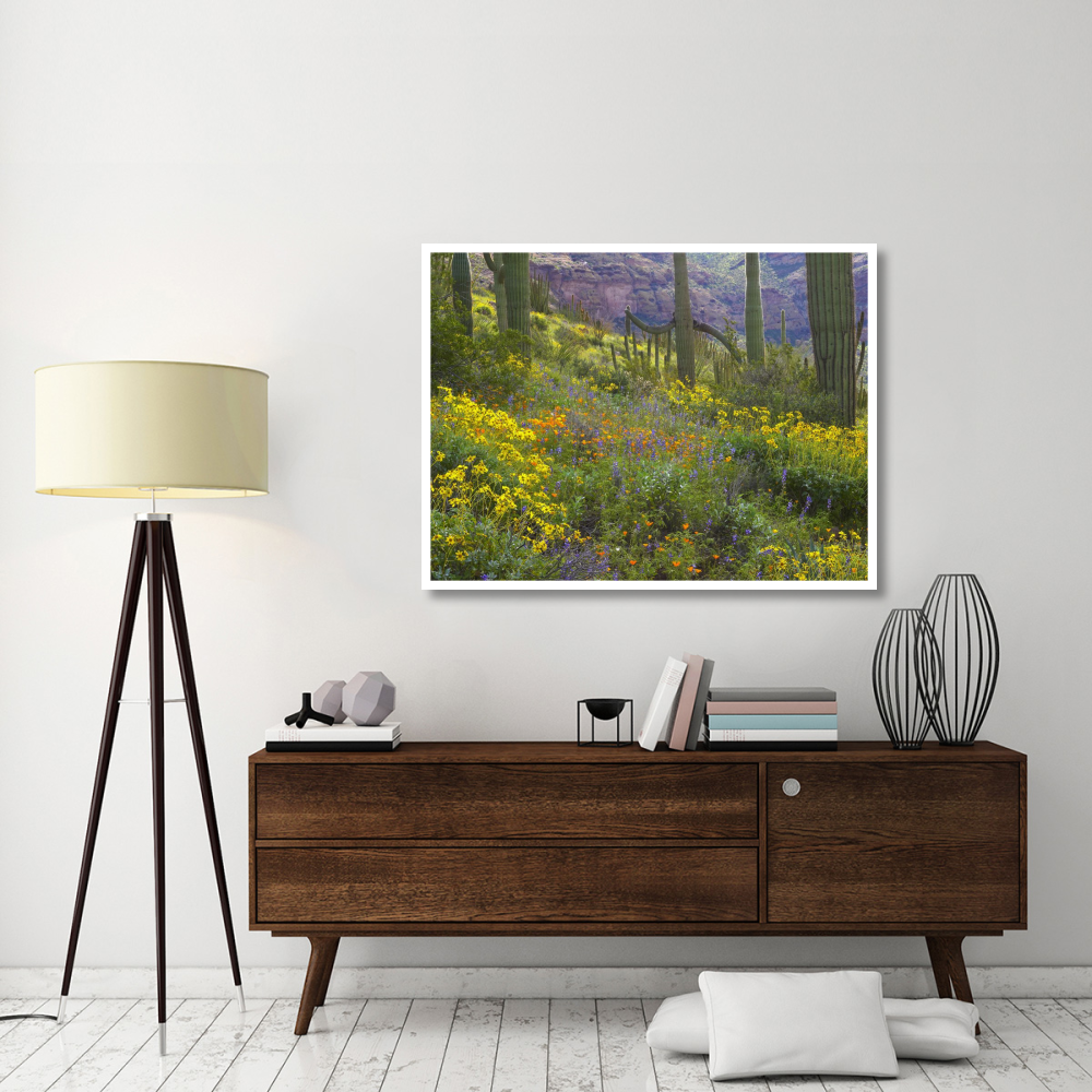 Saguaro amid flowering Lupine, Organ Pipe Cactus National Monument, Arizona-Paper Art-50&quotx38"