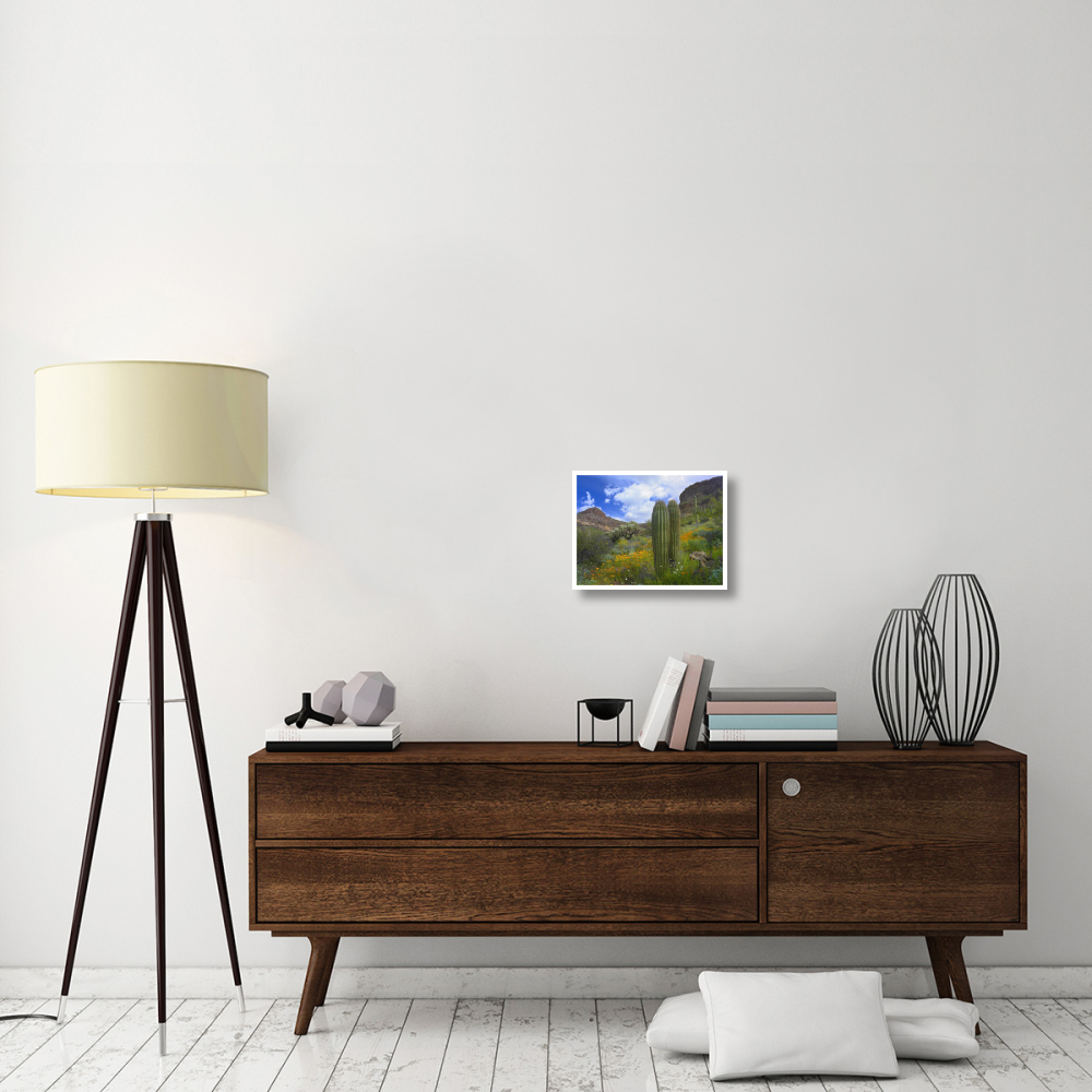 Saguaro amid flowering Lupine, Organ Pipe Cactus National Monument, Arizona-Paper Art-18&quotx14"