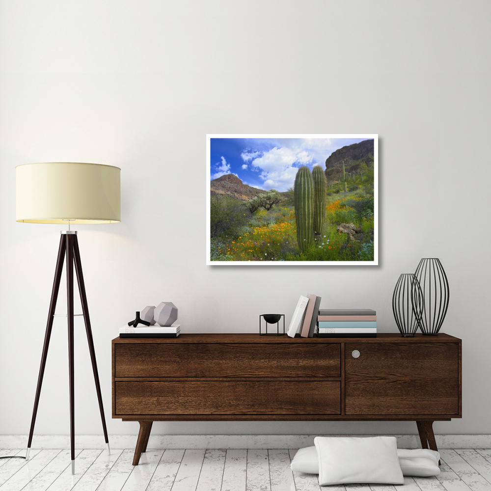 Saguaro amid flowering Lupine, Organ Pipe Cactus National Monument, Arizona-Paper Art-42&quotx32"