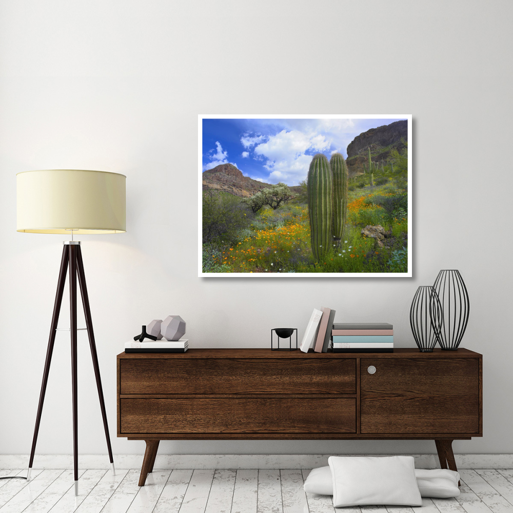 Saguaro amid flowering Lupine, Organ Pipe Cactus National Monument, Arizona-Paper Art-50&quotx38"