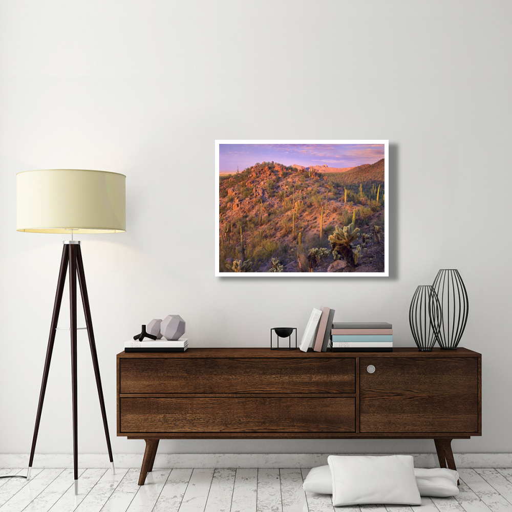 Panther and Safford Peaks covered with Saguaro and Teddybear Cholla, Saguaro National Park, Arizona-Paper Art-42&quotx32"
