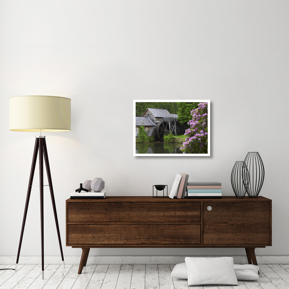 Rhododendron blossoming at Mabry Mill, Blue Ridge Parkway, Virginia-Paper Art-32&quotx23.3"