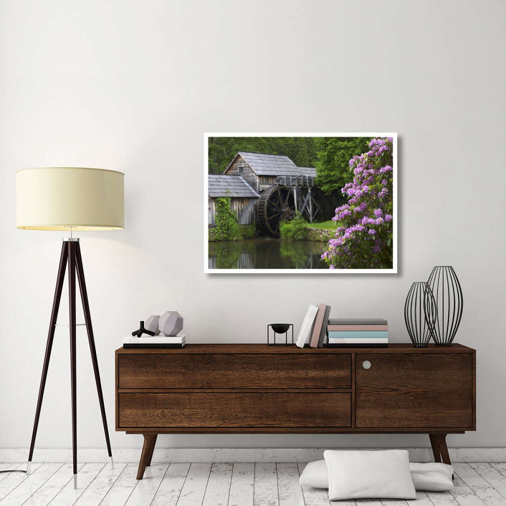 Rhododendron blossoming at Mabry Mill, Blue Ridge Parkway, Virginia-Paper Art-46&quotx33.24"
