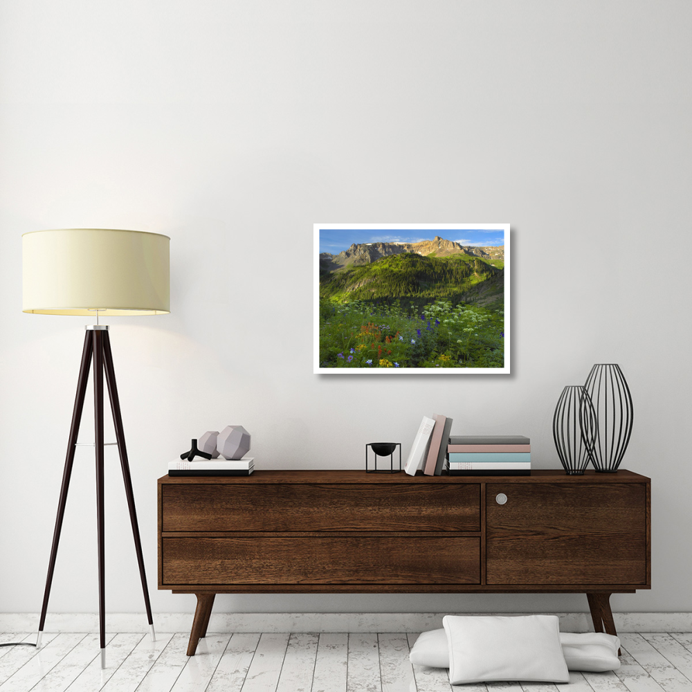 Wildflower meadow looking towards Mount Sneffels Wilderness, Yankee Boy Basin, Colorado-Paper Art-34&quotx26"