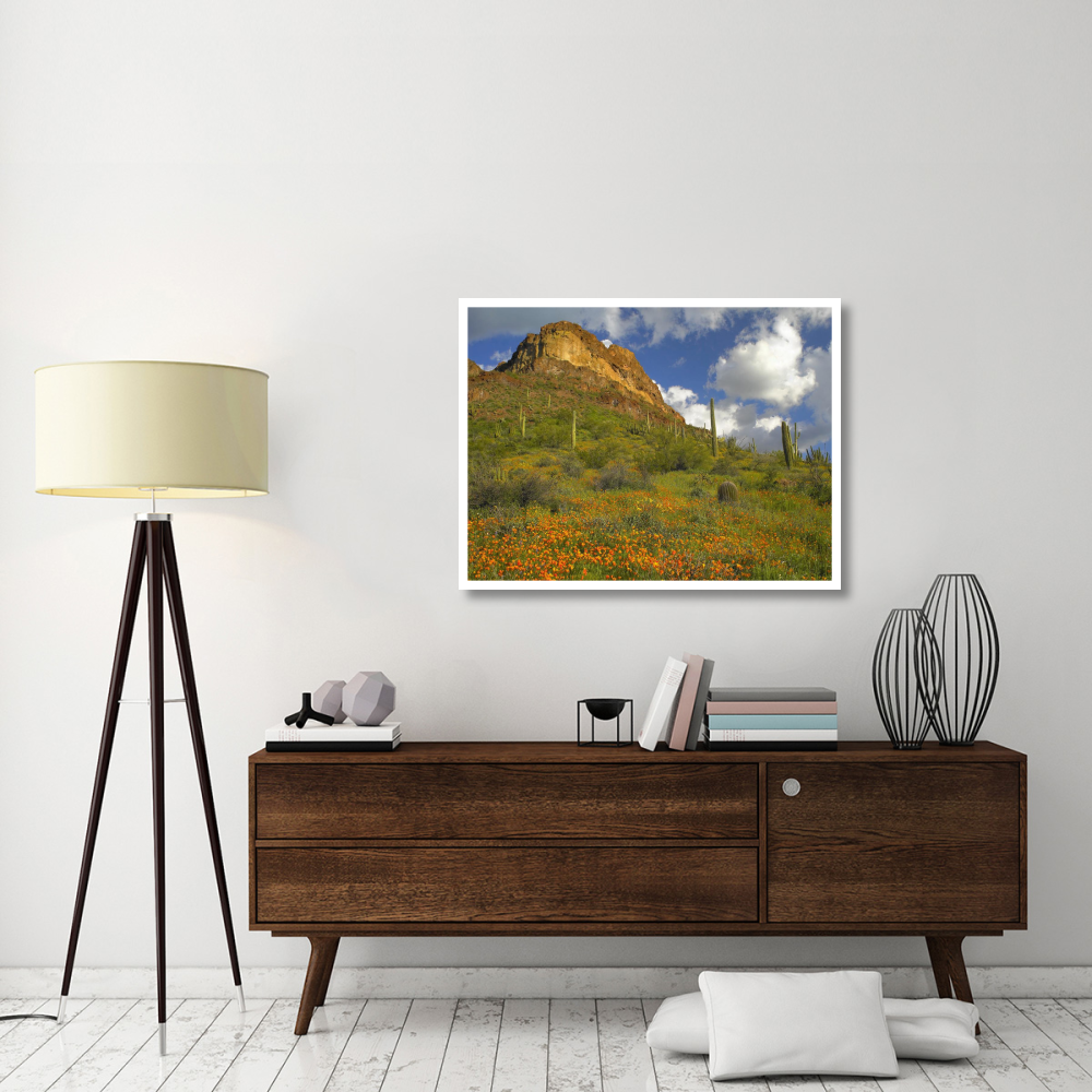 California Poppy and Saguaro cacti, Organ Pipe Cactus National Monument, Arizona-Paper Art-42&quotx32"