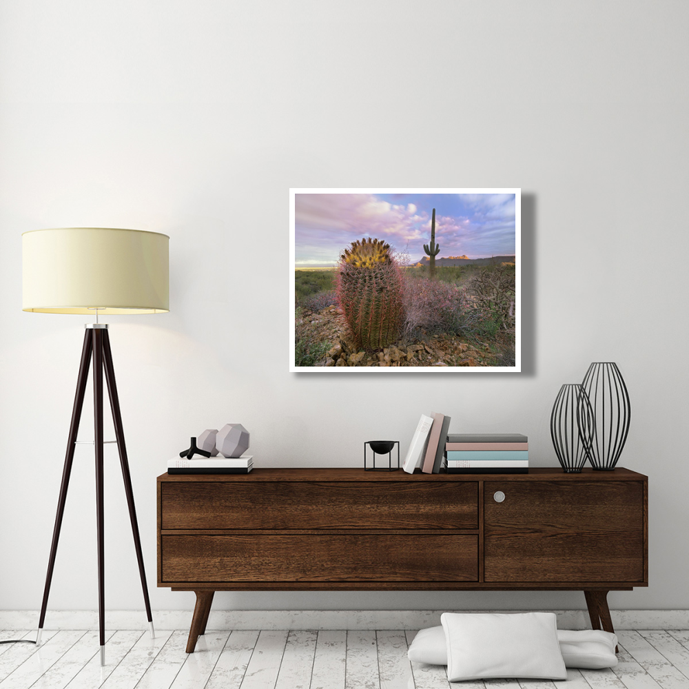 Saguaro and Giant Barrel Cactus, Saguaro National Park, Arizona-Paper Art-42&quotx32"