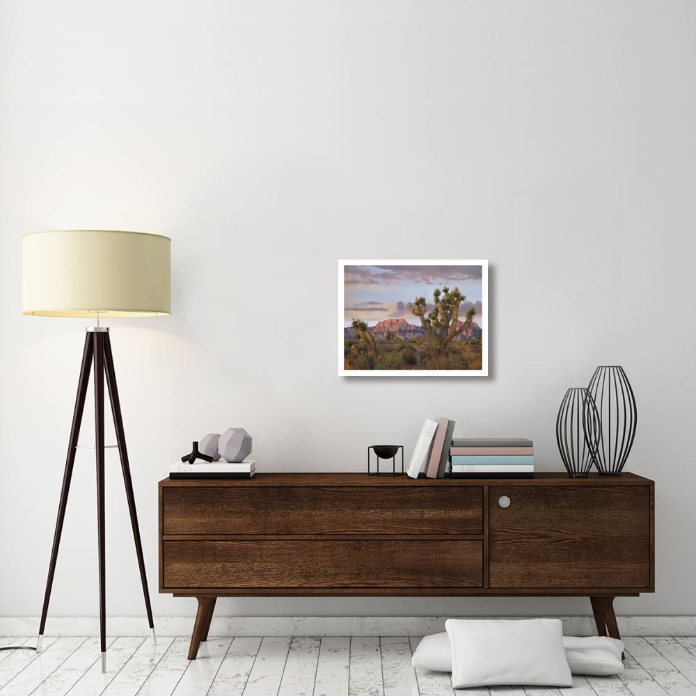 Joshua Tree and Spring Mountains, Red Rock Canyon National Conservation Area, Nevada-Paper Art-26&quotx20"