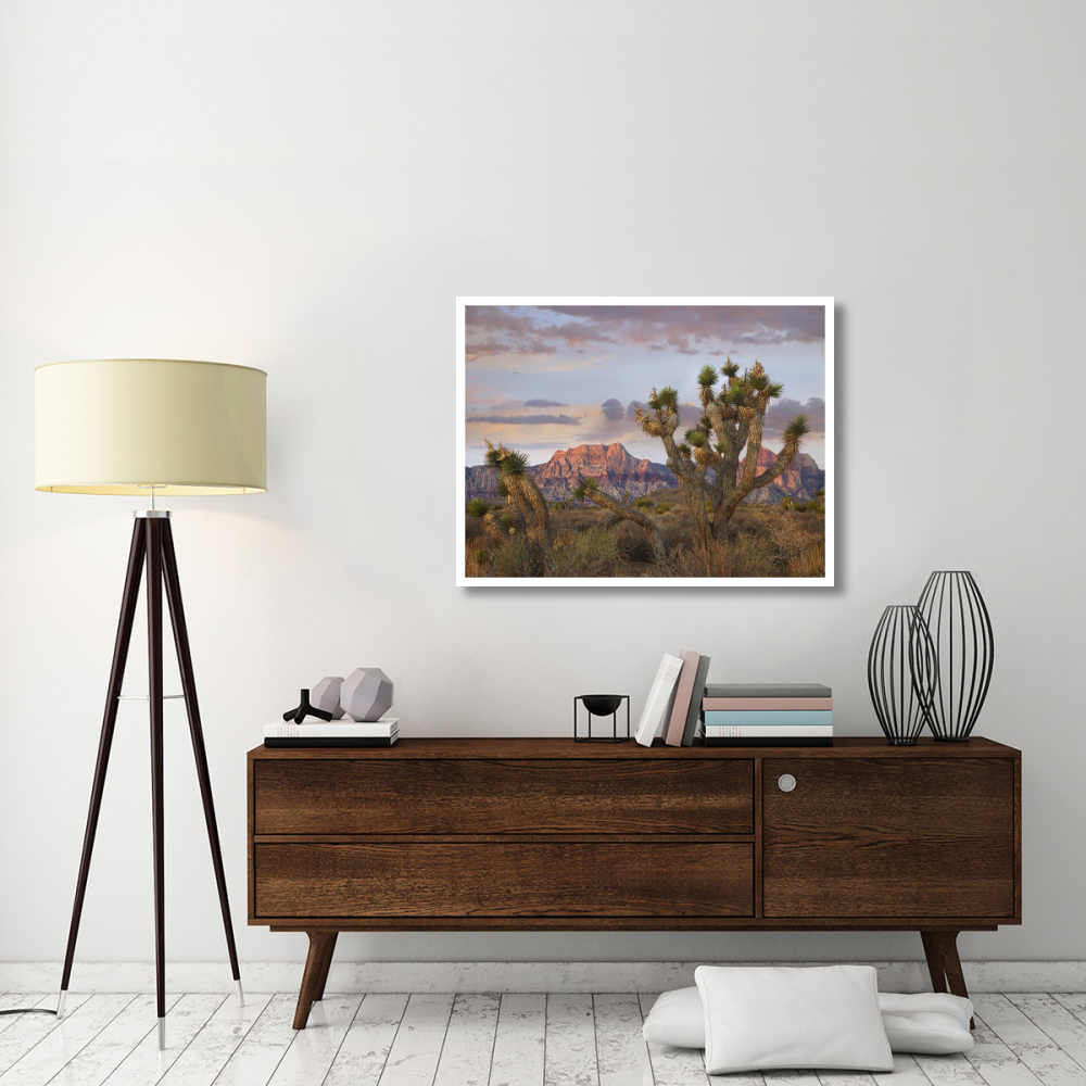 Joshua Tree and Spring Mountains, Red Rock Canyon National Conservation Area, Nevada-Paper Art-42&quotx32"