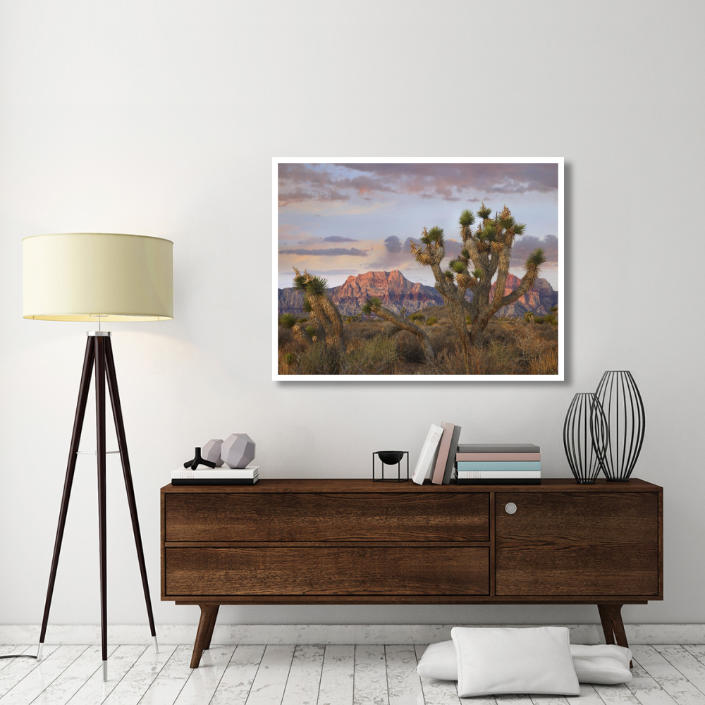 Joshua Tree and Spring Mountains, Red Rock Canyon National Conservation Area, Nevada-Paper Art-50&quotx38"
