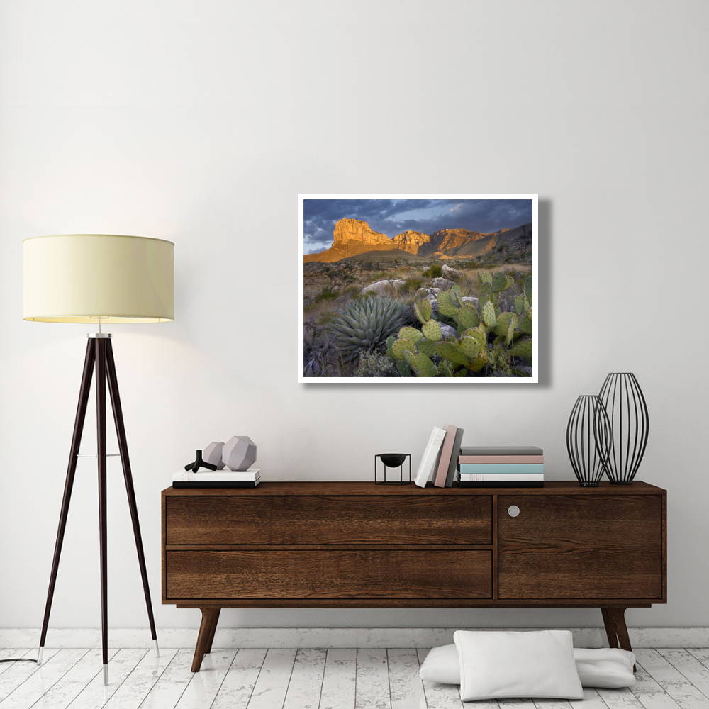 Opuntia cactus and Agave, Guadalupe Mountains National Park, Chihuahuan Desert, Texas-Paper Art-42&quotx32"