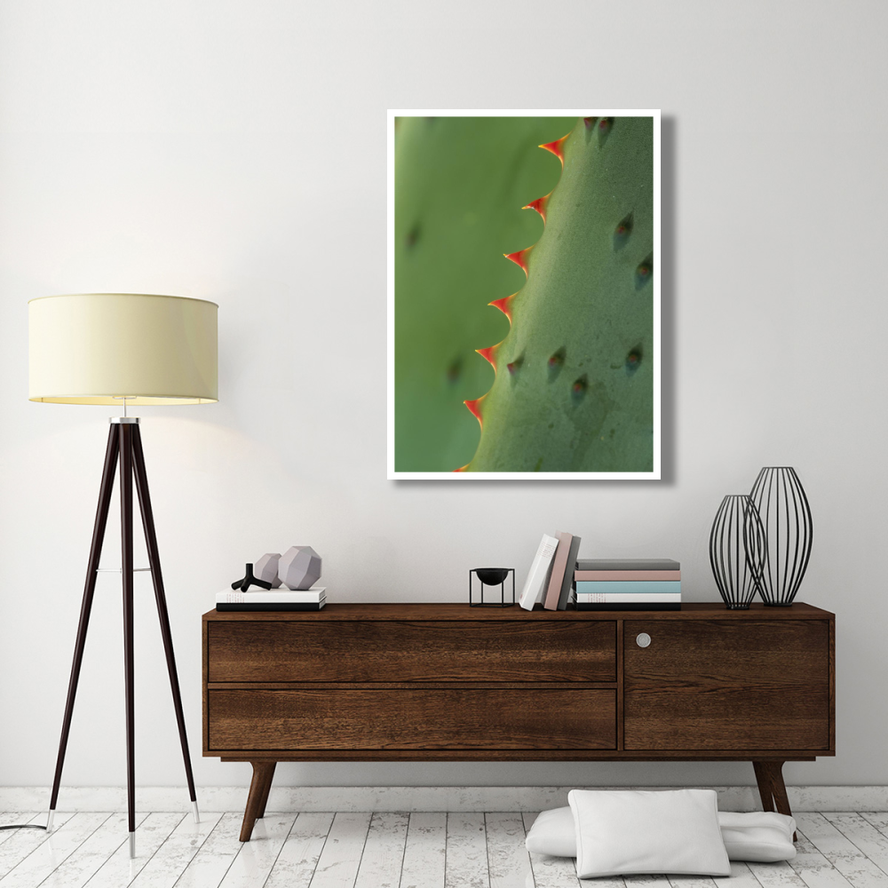 Cape Aloe spines-Paper Art-38&quotx50"