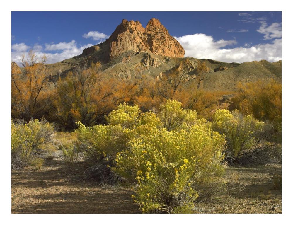 Mitten Rock, New Mexico-Paper Art-26"x20"