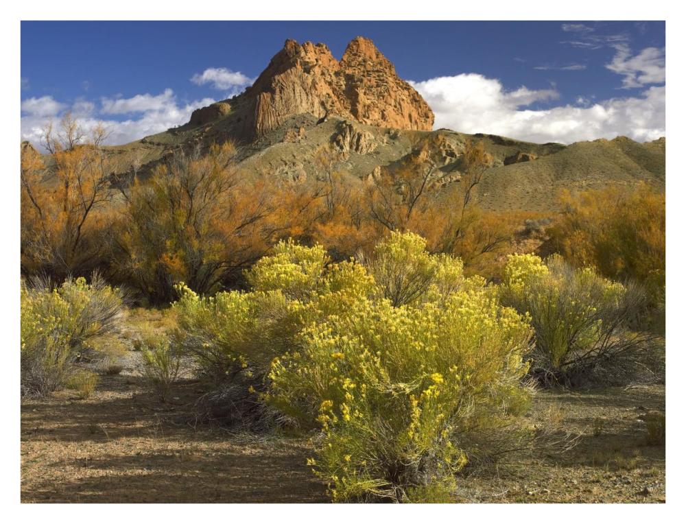 Mitten Rock, New Mexico-Paper Art-34"x26"