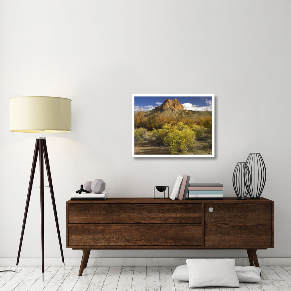 Mitten Rock, New Mexico-Paper Art-34&quotx26"