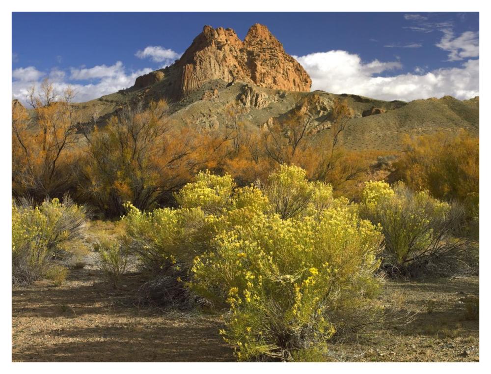 Mitten Rock, New Mexico-Paper Art-42"x32"
