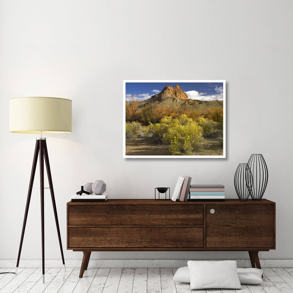 Mitten Rock, New Mexico-Paper Art-42&quotx32"