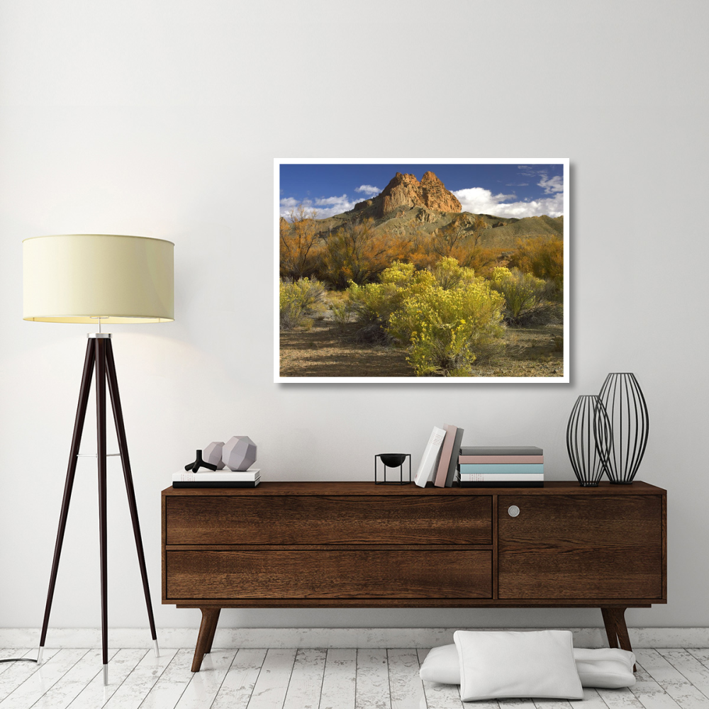 Mitten Rock, New Mexico-Paper Art-50&quotx38"