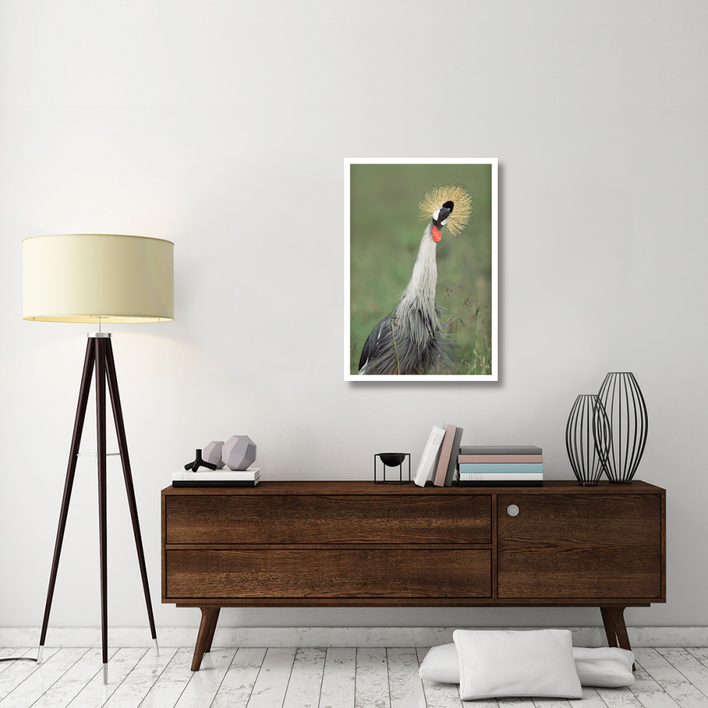Grey Crowned Crane, Kenya-Paper Art-26&quotx38"