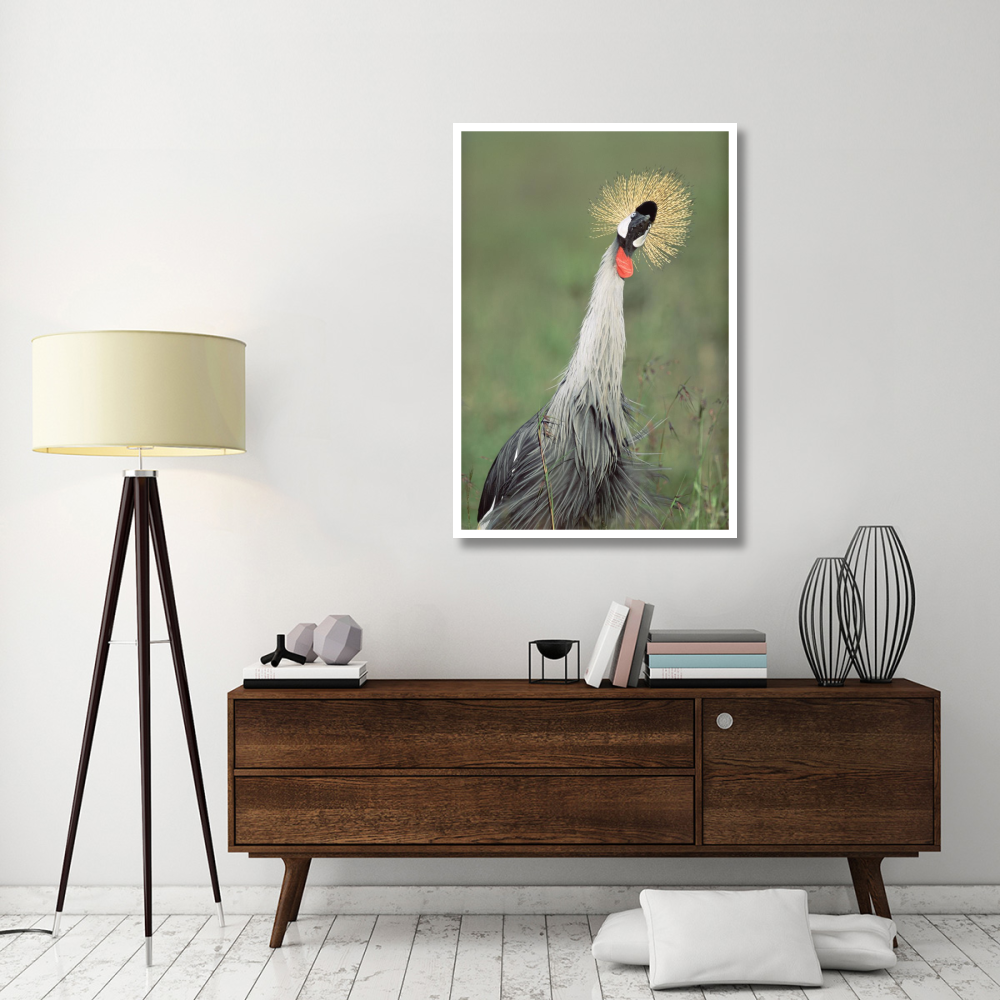 Grey Crowned Crane, Kenya-Paper Art-34&quotx50"