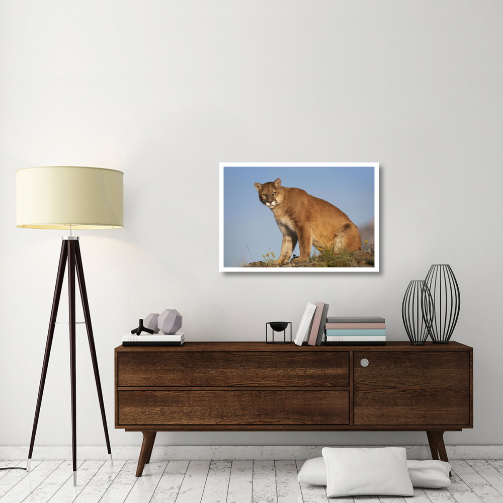 Mountain Lion North America-Paper Art-38&quotx26"