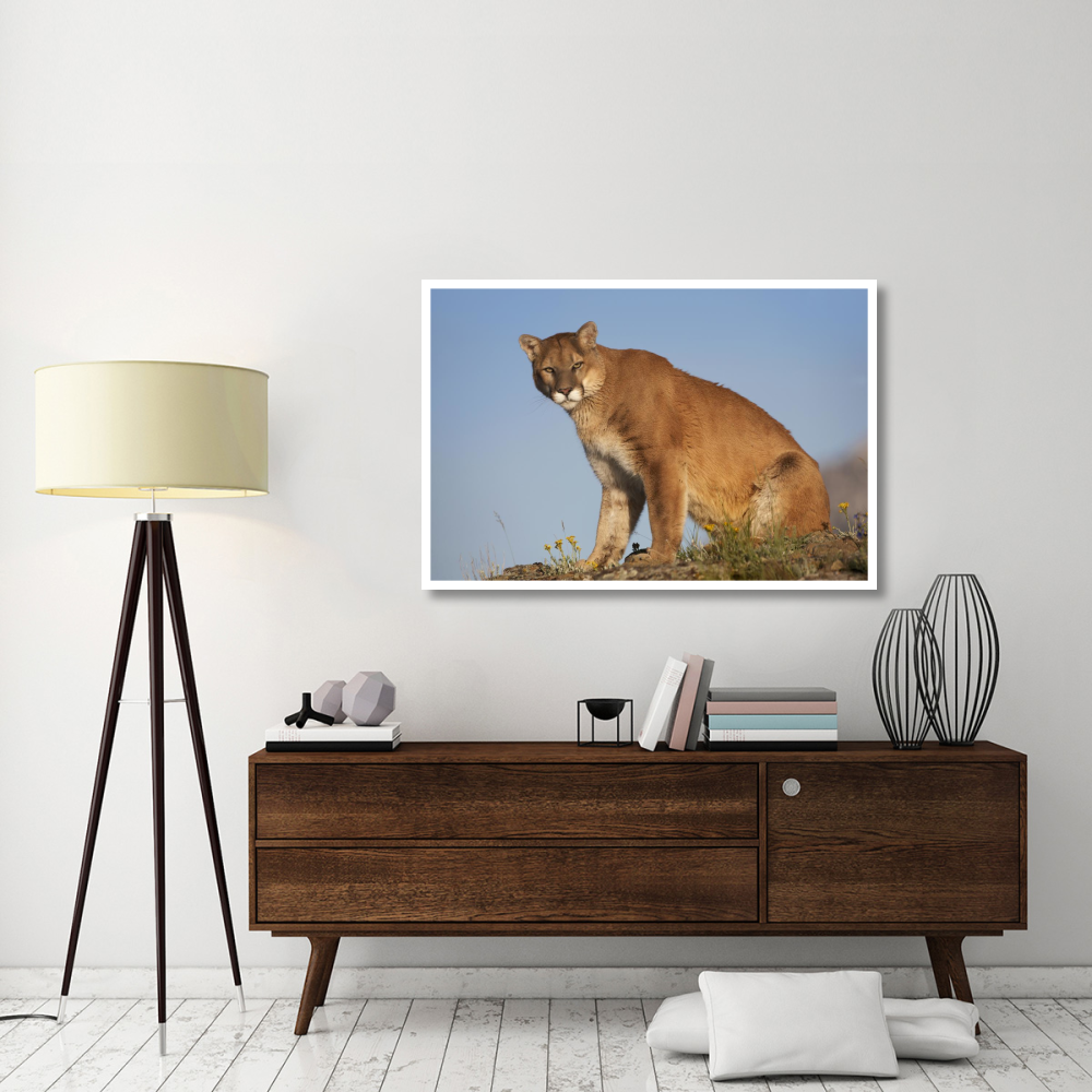 Mountain Lion North America-Paper Art-50&quotx34"