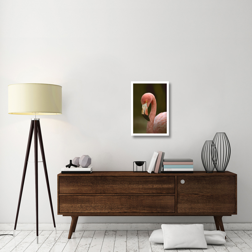 Greater Flamingo, Caribbean-Paper Art-18&quotx26"