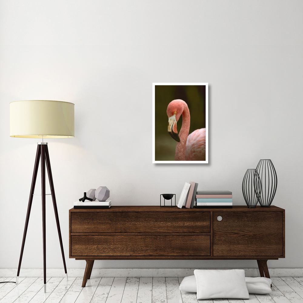 Greater Flamingo, Caribbean-Paper Art-22&quotx32"