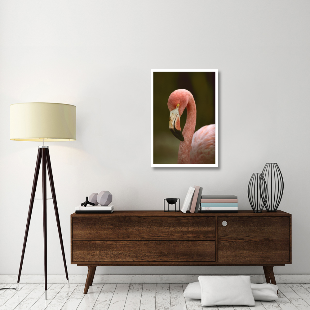 Greater Flamingo, Caribbean-Paper Art-26&quotx38"