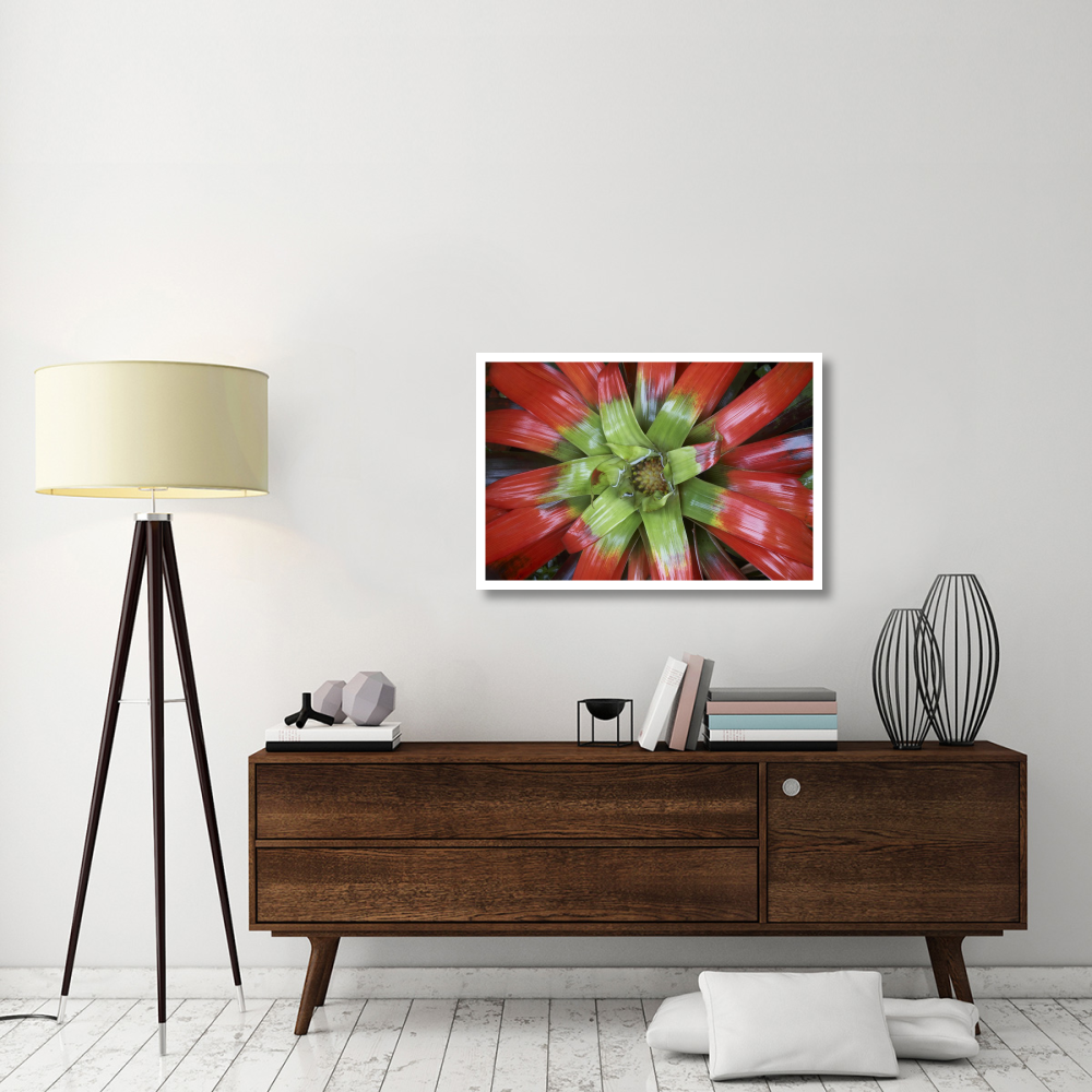 Bromeliad flower, Costa Rica-Paper Art-38&quotx26"