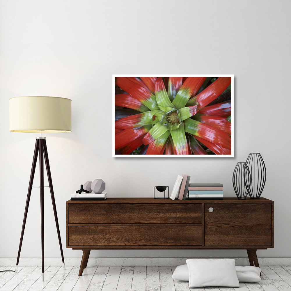Bromeliad flower, Costa Rica-Paper Art-50&quotx34"