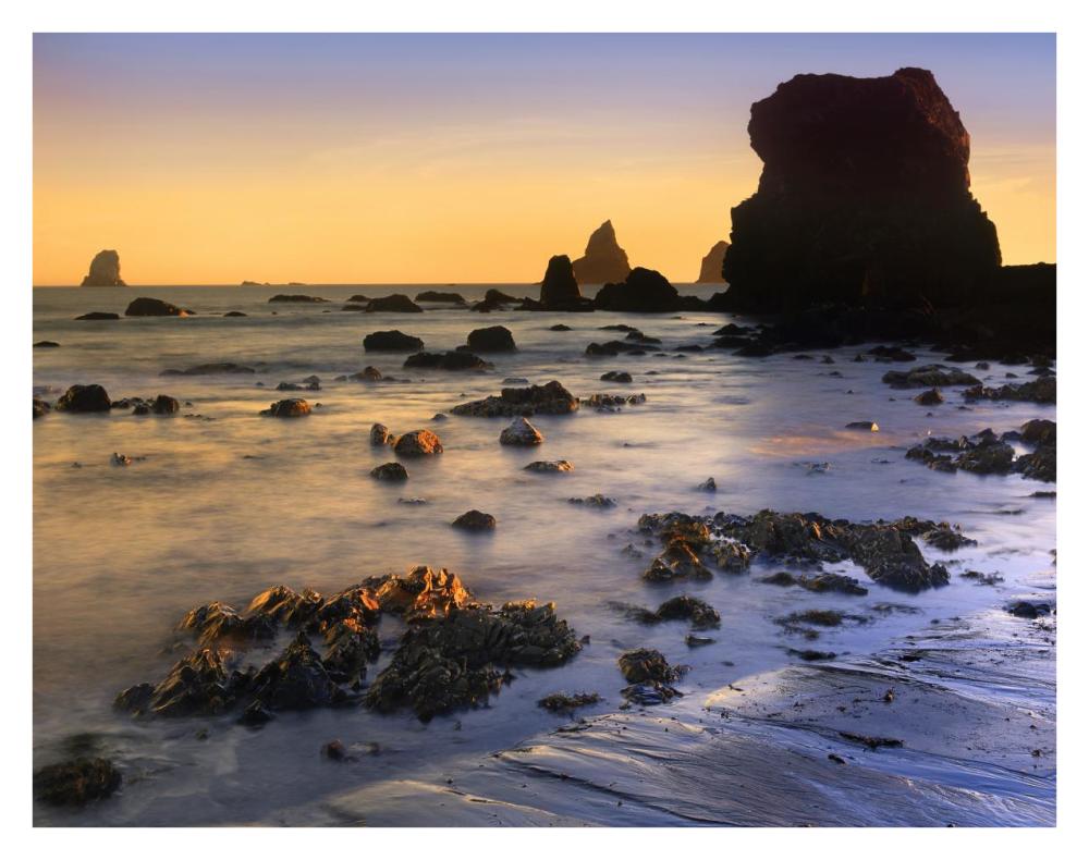 Lone Beach at sunset, Oregon-Paper Art-34"x26"