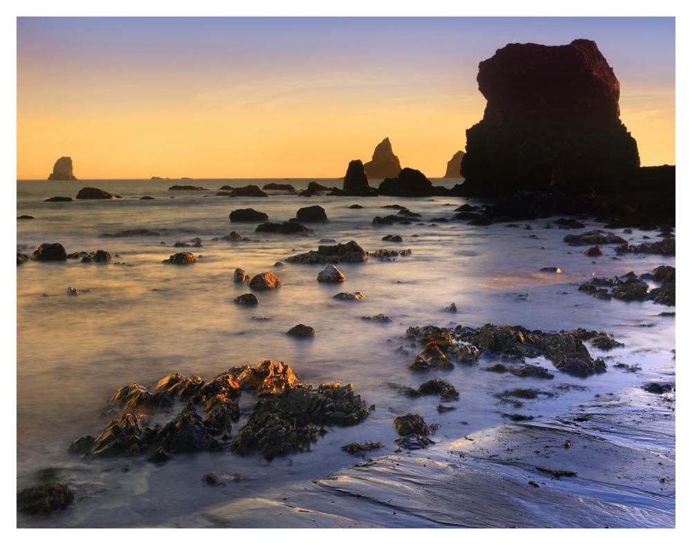 Lone Beach at sunset, Oregon-Paper Art-42"x32"
