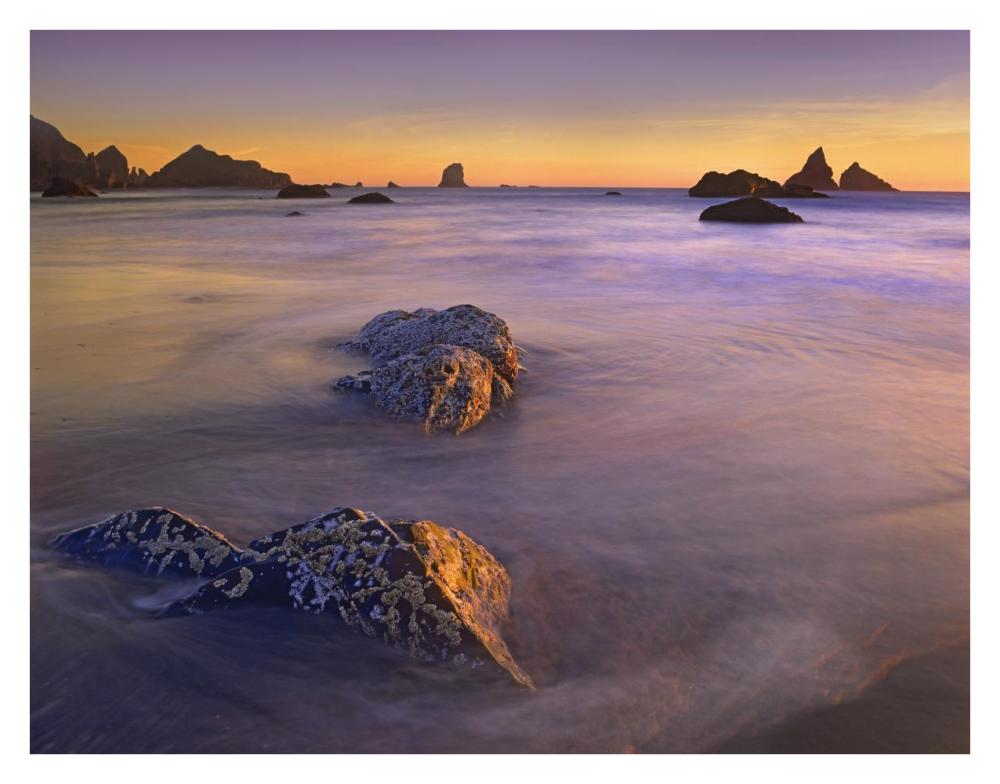 Coastline, Lone Beach, Oregon-Paper Art-34"x26"