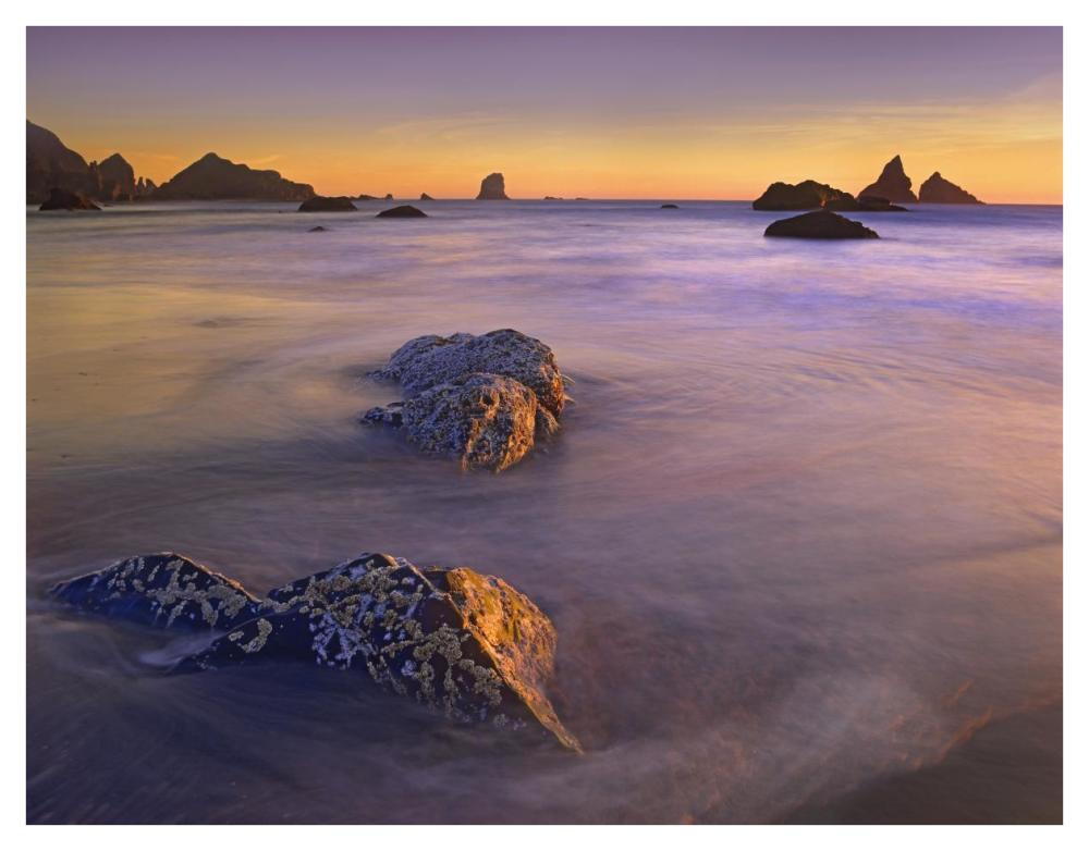 Coastline, Lone Beach, Oregon-Paper Art-42"x32"