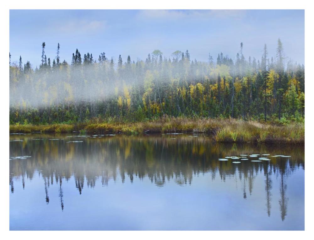 Fog over lake, Ontario, Canada-Paper Art-34"x26"