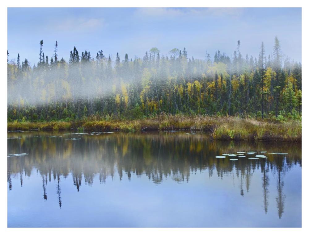 Fog over lake, Ontario, Canada-Paper Art-42"x32"