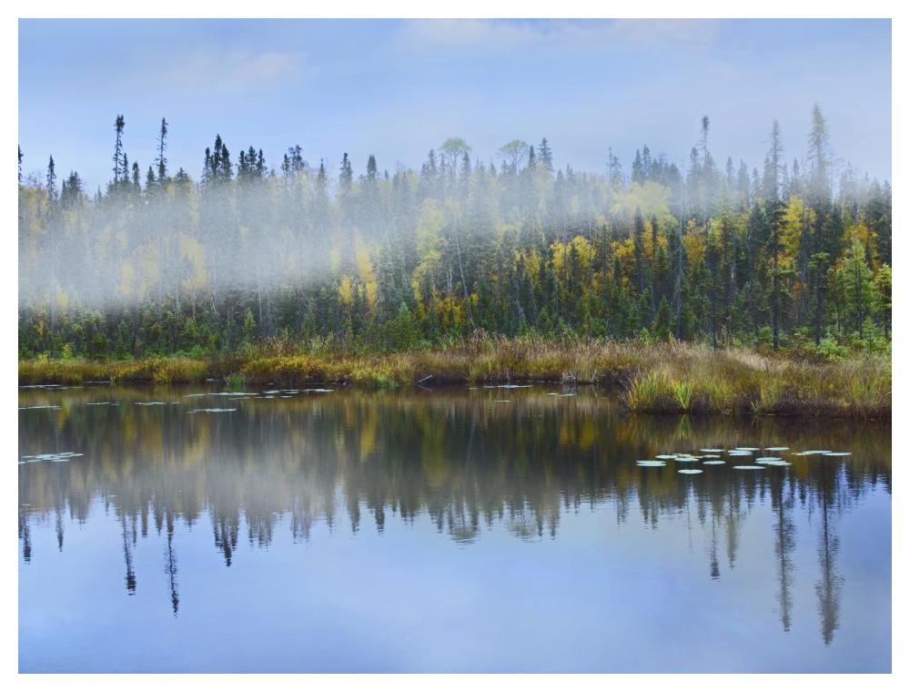 Fog over lake, Ontario, Canada-Paper Art-50"x38"
