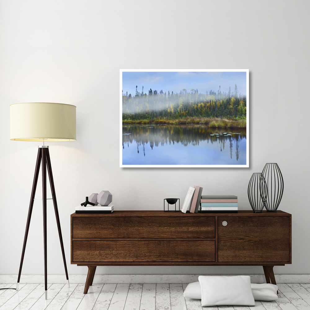 Fog over lake, Ontario, Canada-Paper Art-50&quotx38"