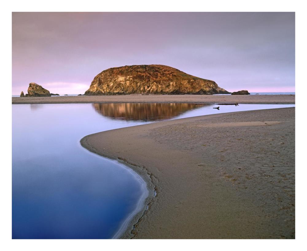 Harris Beach State Park, Oregon-Paper Art-26"x22"