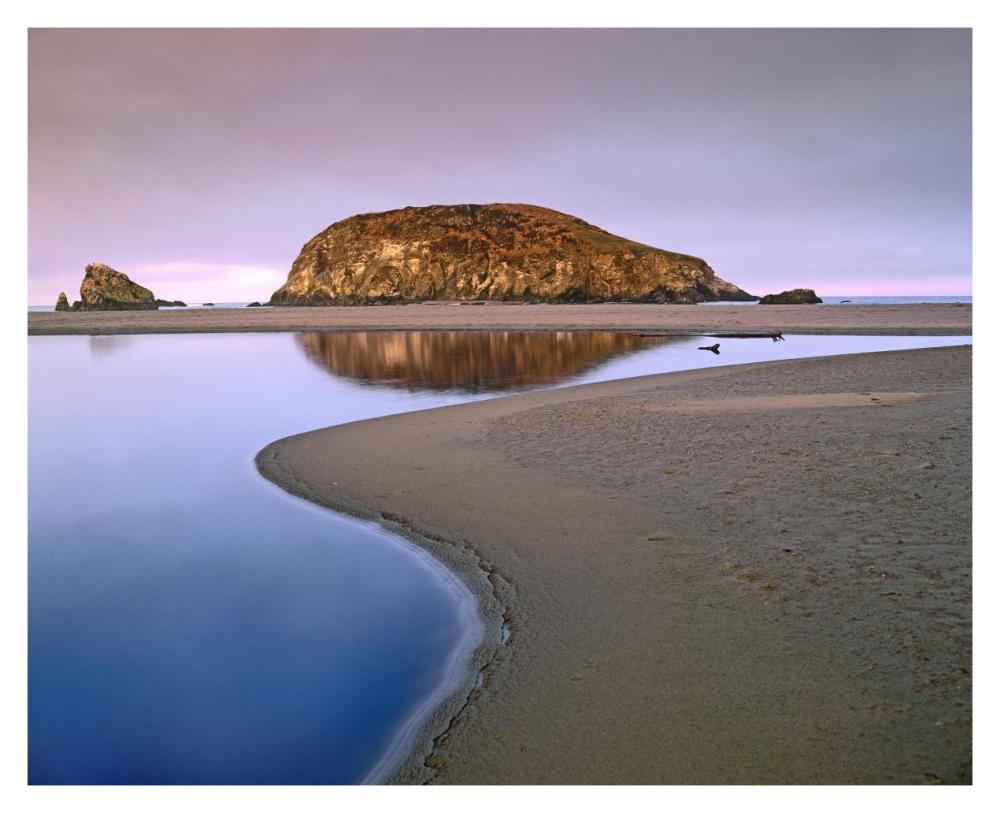 Harris Beach State Park, Oregon-Paper Art-37"x30"