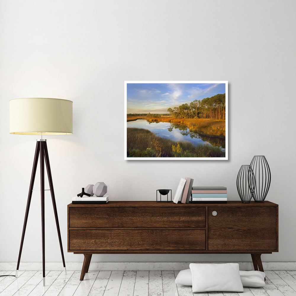 Lake near Apalachicola, Florida-Paper Art-42&quotx32"