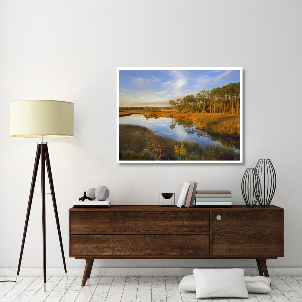 Lake near Apalachicola, Florida-Paper Art-50&quotx38"