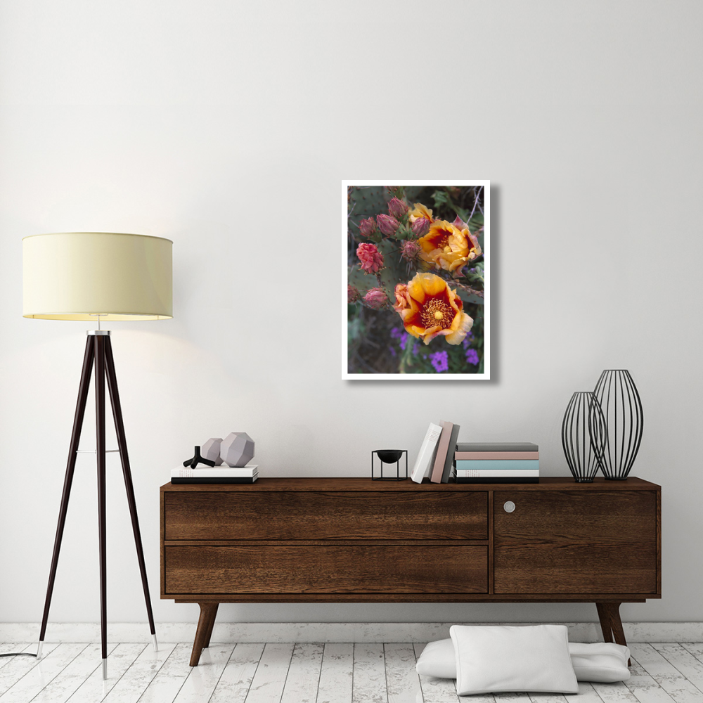 Opuntia in bloom, North America-Paper Art-26&quotx34"