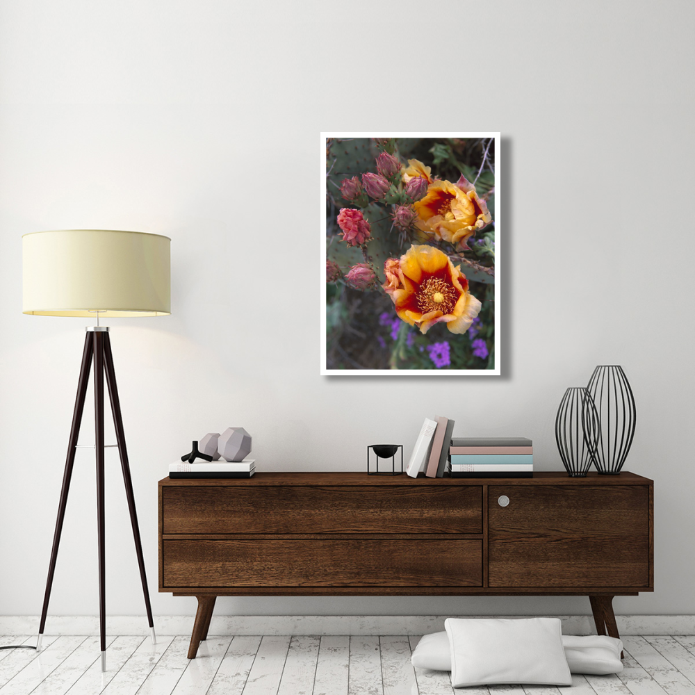 Opuntia in bloom, North America-Paper Art-32&quotx42"
