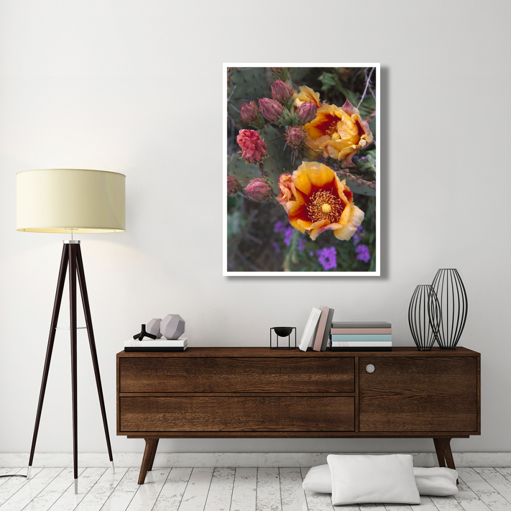 Opuntia in bloom, North America-Paper Art-38&quotx50"
