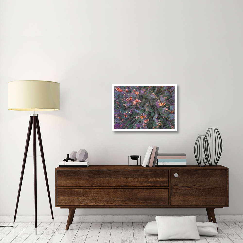 Opuntia flowering, North America-Paper Art-32&quotx23.3"