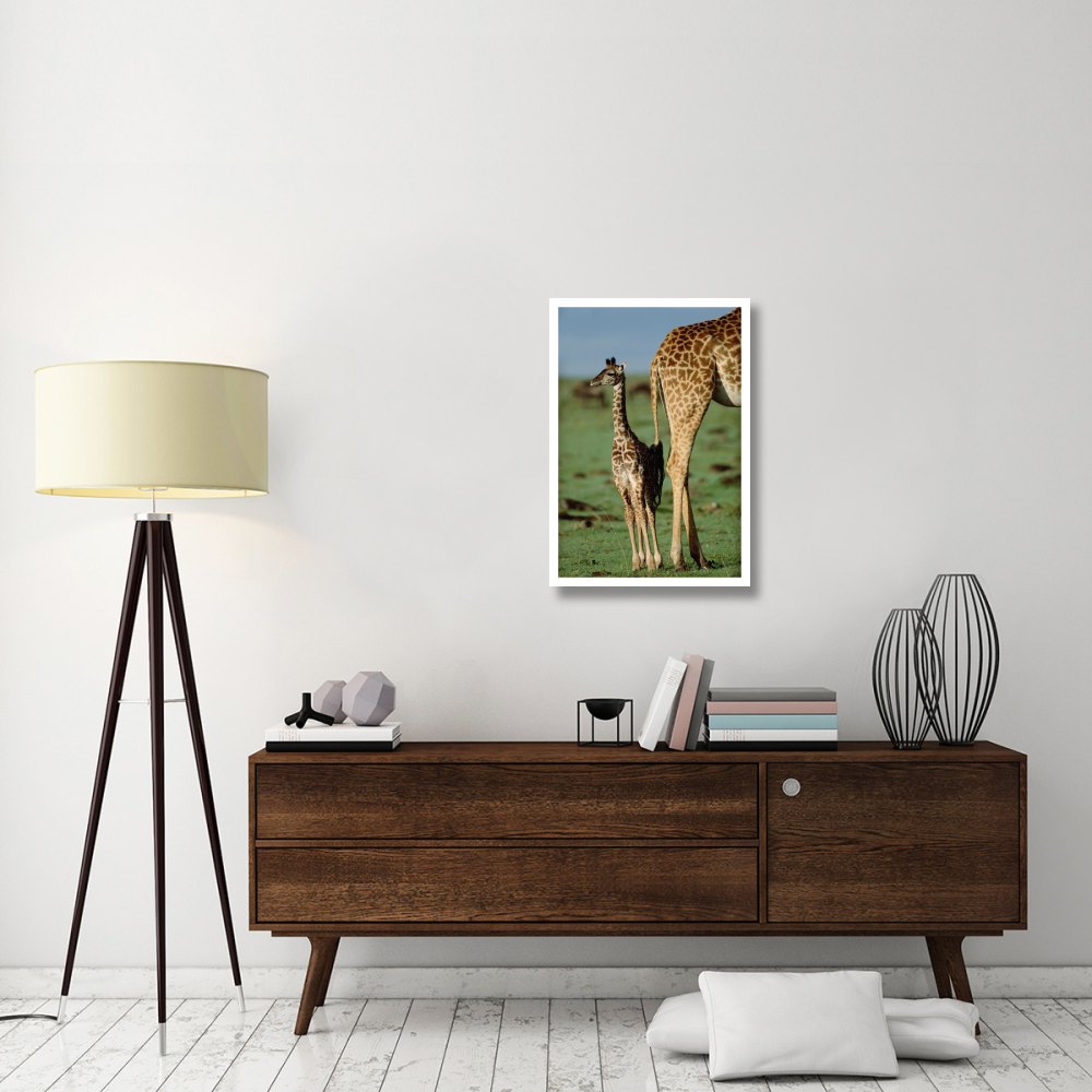 Giraffe mother with young, Kenya-Paper Art-22&quotx32"