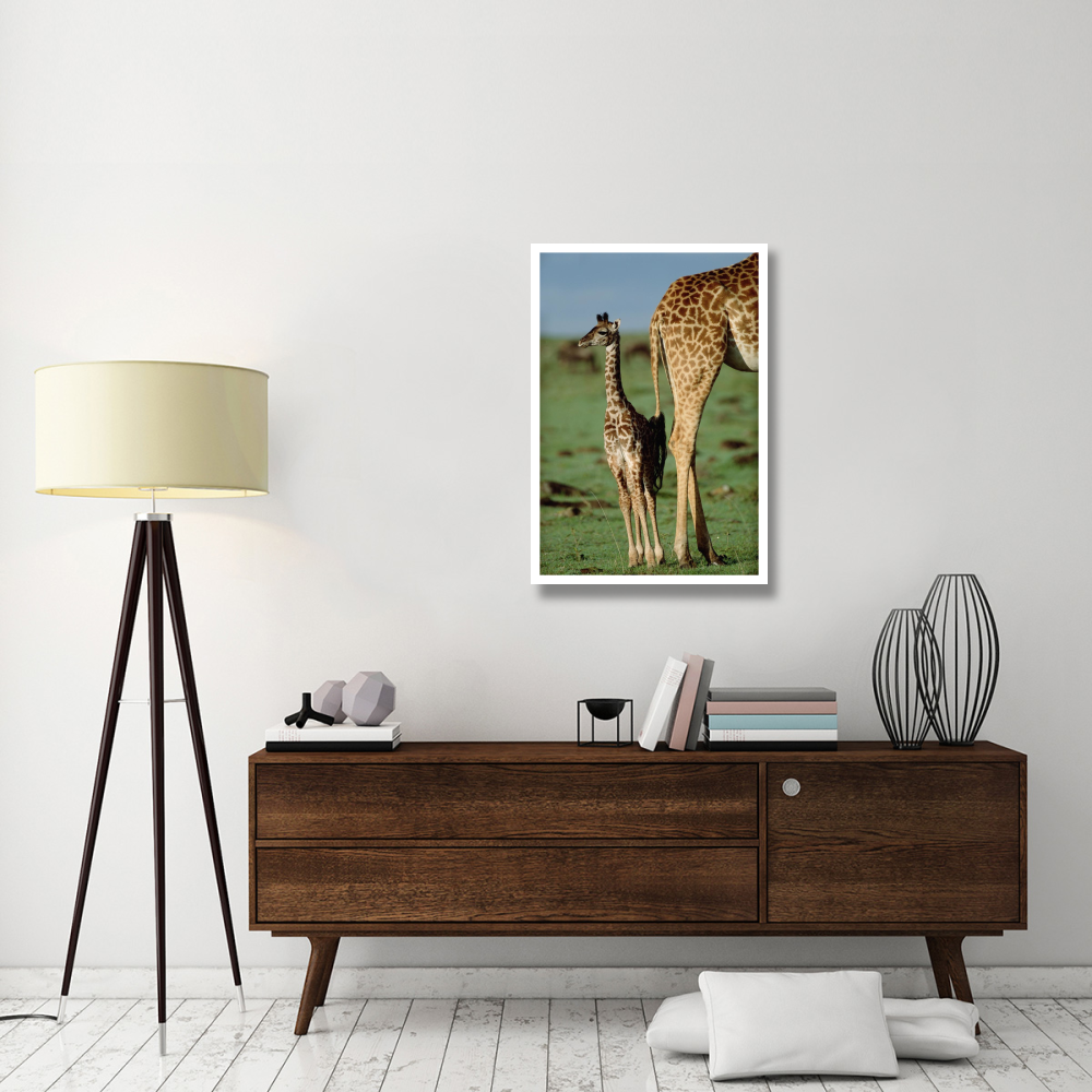 Giraffe mother with young, Kenya-Paper Art-26&quotx38"